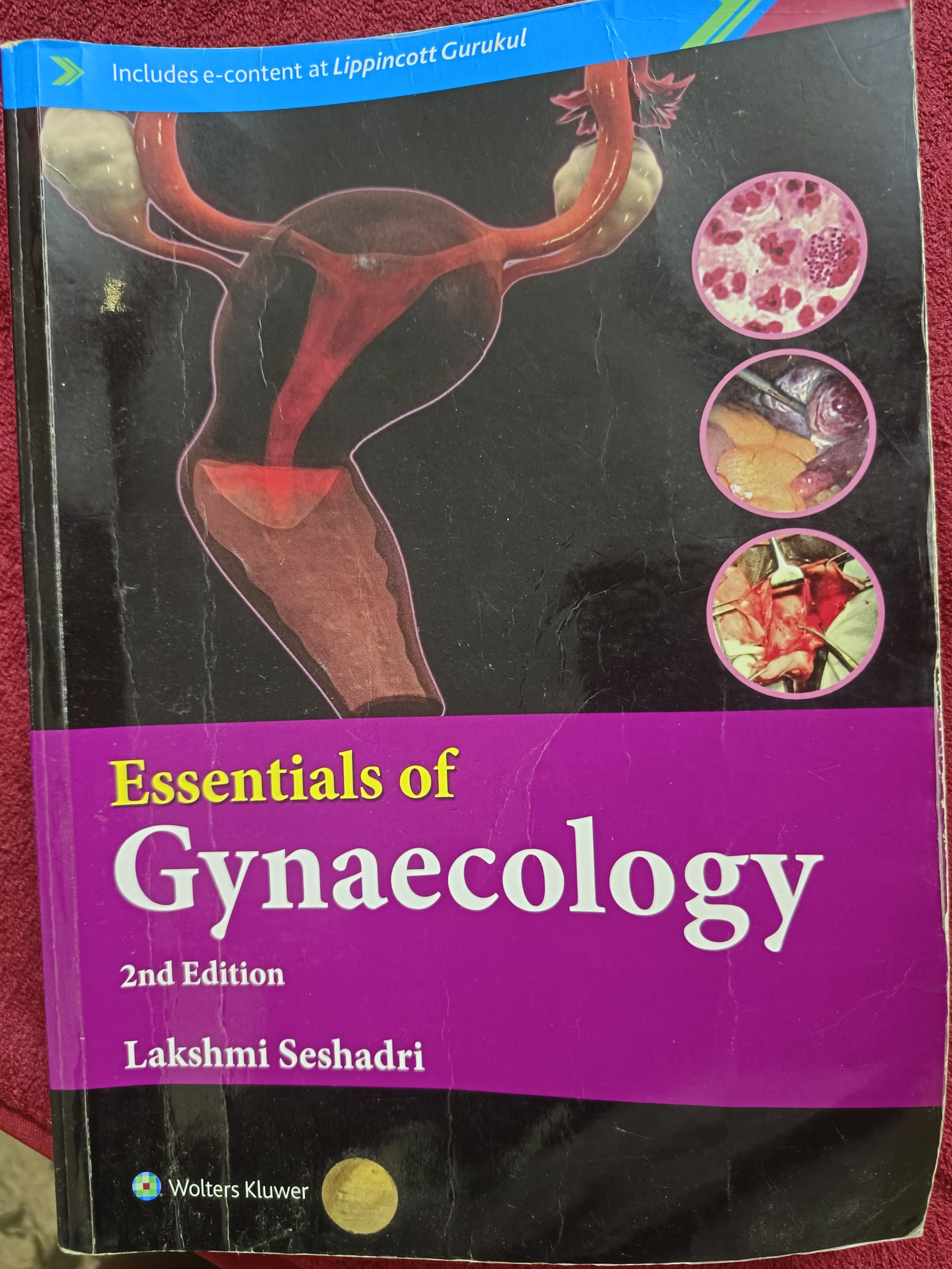 Used books' photos